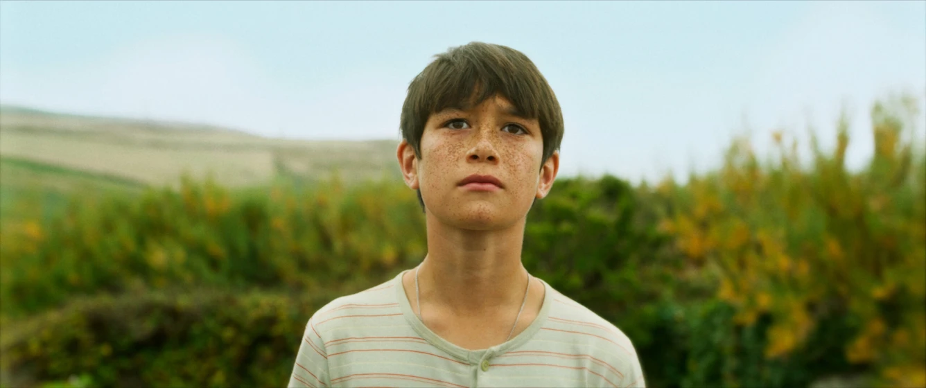 Imagen de Edge of Summer