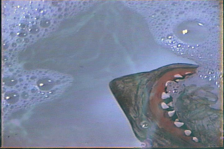 Imagen de Bathtub Shark Attack