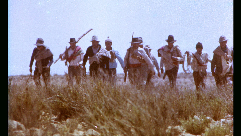 Imagen de a-la-sombra-del-sol