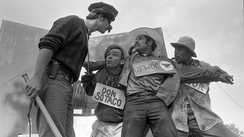 Imagen de American Pachuco: The Legend of Luis Valdez