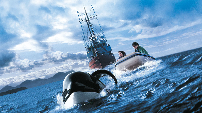 Imagen de Liberad a Willy 3: El Rescate