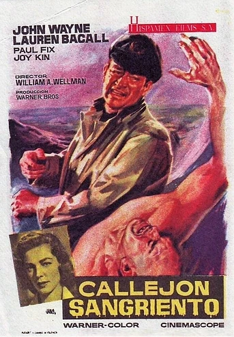 Poster de Callejón Sangriento