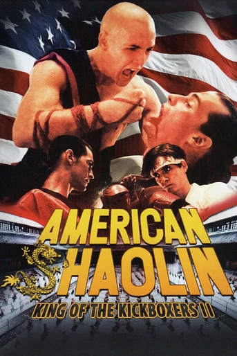 Poster de American Shaolin