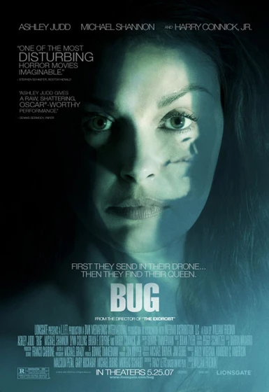 Imagen de bug (Cartel)