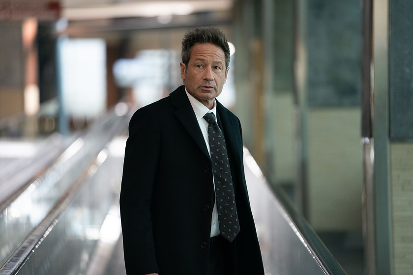 David Duchovny en Lo Que sucede después