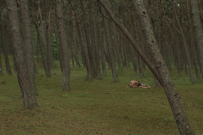 Imagen de The Gambler
