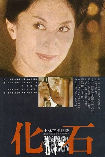 Poster de The Fossil