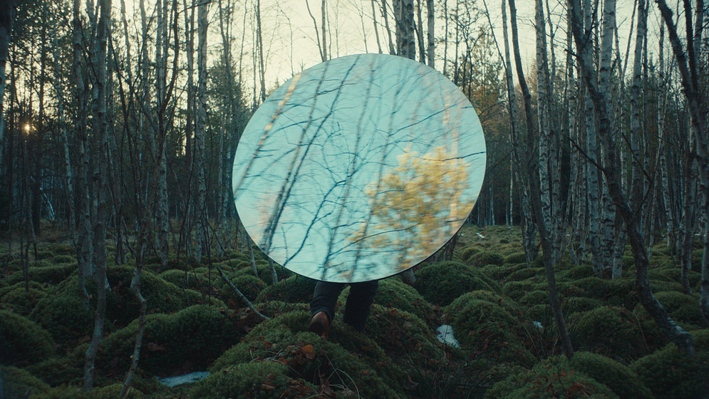 Imagen de Better go Mad in the Wild