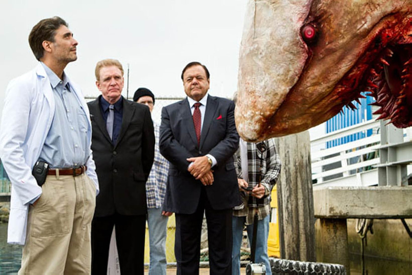Imagen de Jersey Shore Shark Attack