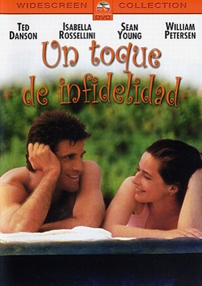 Imagen de Un Toque de Infidelidad (Carátula DVD)