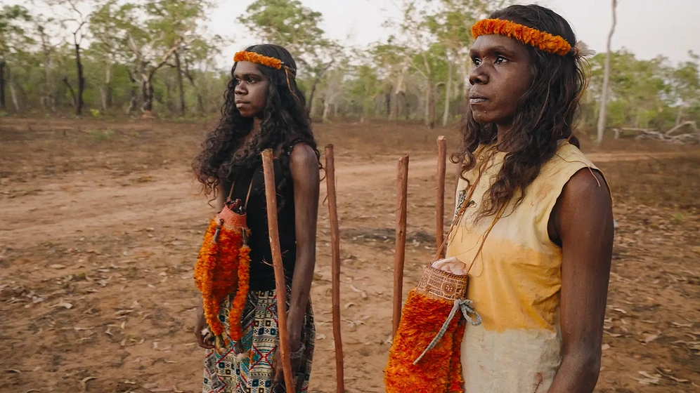 Imagen de Journey Home, David Gulpilil