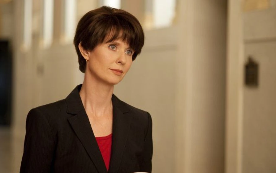Cynthia Nixon en too-big-to-fail