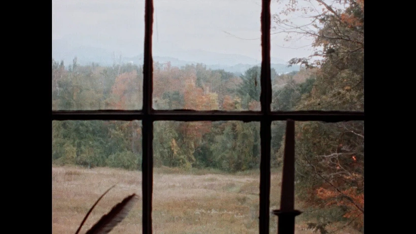 Imagen de B for Bartleby