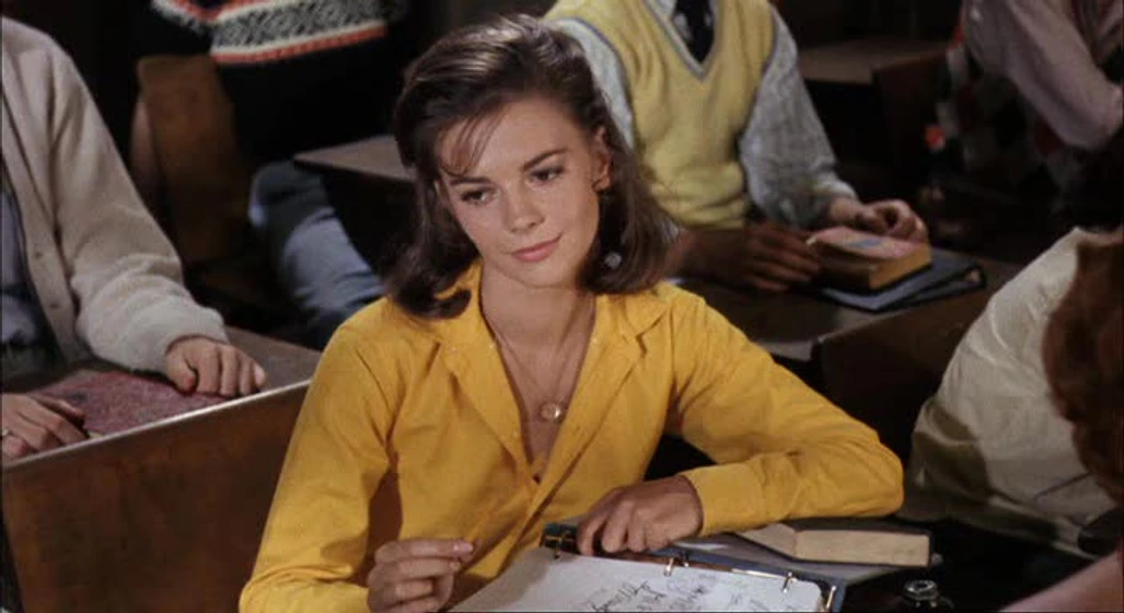 Natalie Wood en esplendor-en-la-hierba
