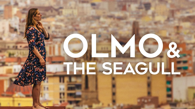 Imagen de Olmo & the seagull