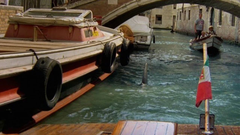 Imagen de Tiburones en Venecia