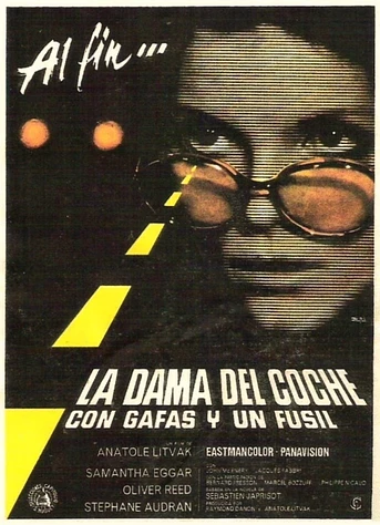 Poster de La Dama del Coche con Gafas y un Fusil