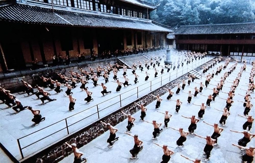 Imagen de American Shaolin
