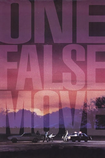 Poster de Falso movimiento