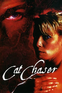 El Cazador de Gatos