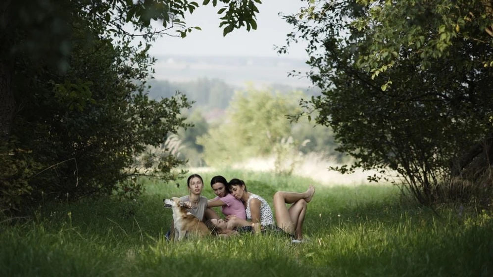 Imagen de blossoming