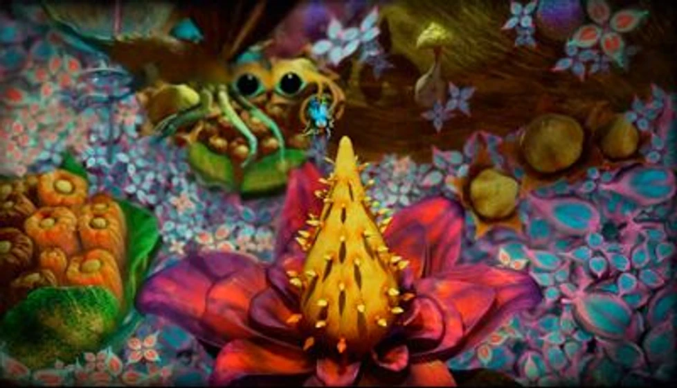 Imagen de cornee