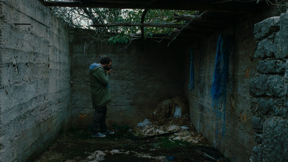 Imagen de how-come-it-s-all-green-out-here