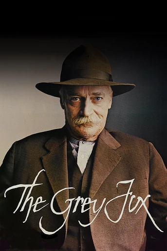 Poster de El Zorro gris