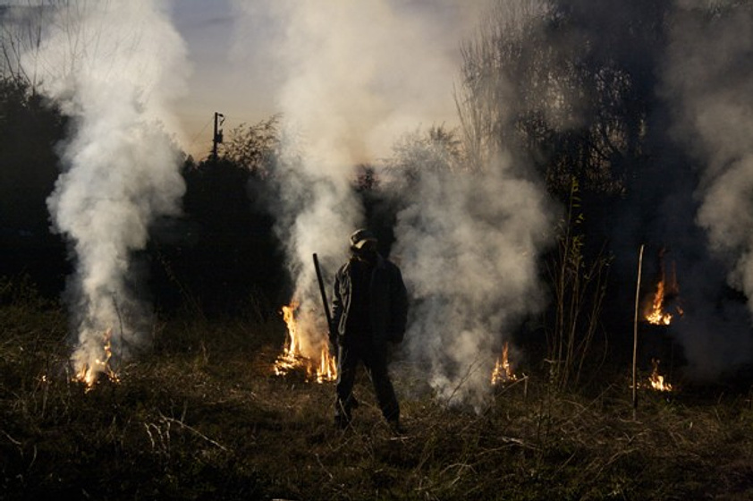 Imagen de Sentados Frente al Fuego