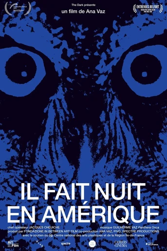 Poster de It Is Night in America