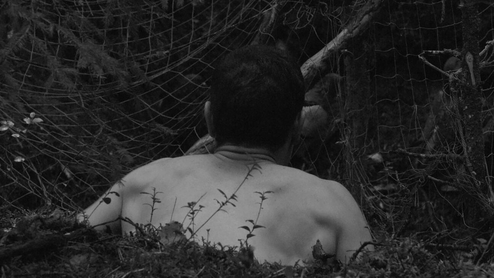 Imagen de On This Land