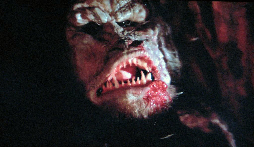 Imagen de Proyecto: Terror