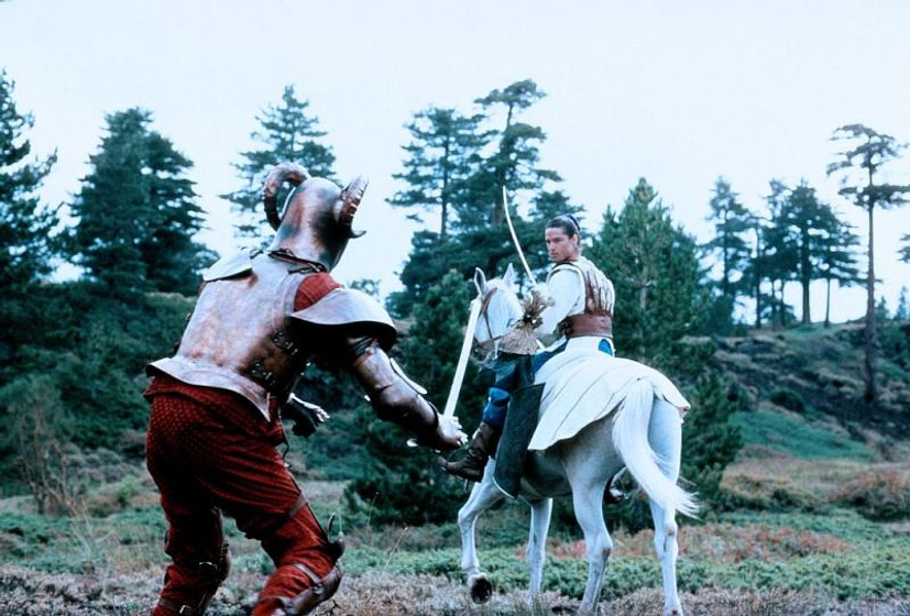 Imagen de Los Paladines