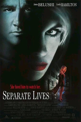 Poster de Vidas Separadas