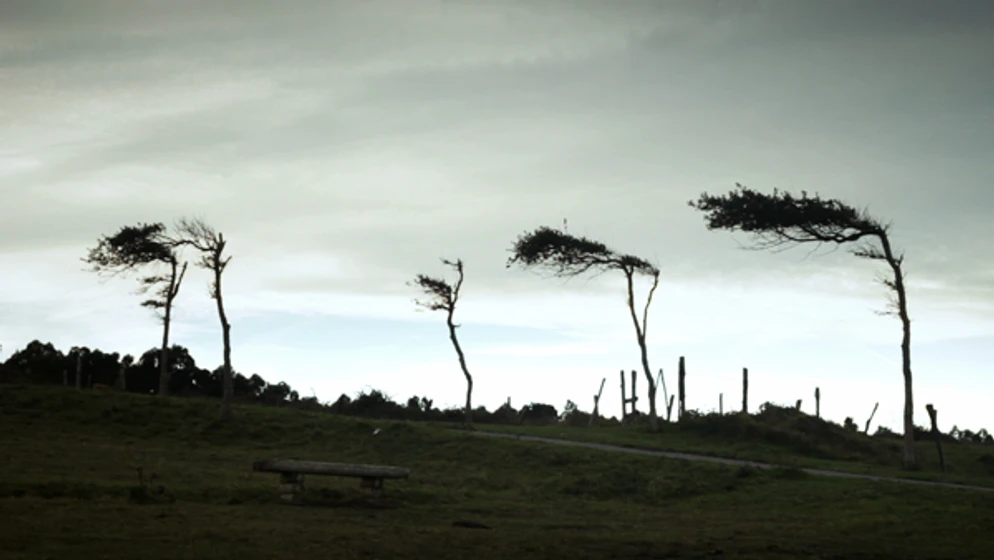 Imagen de oirse