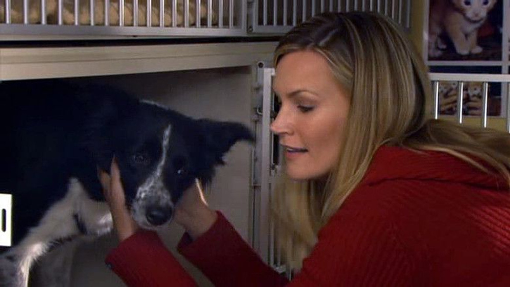 Natasha Henstridge en Toda una Vida Juntos