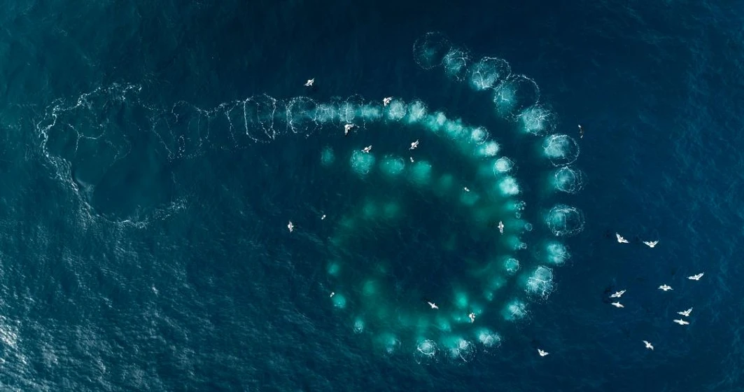 Imagen de los-guardianes-del-planeta