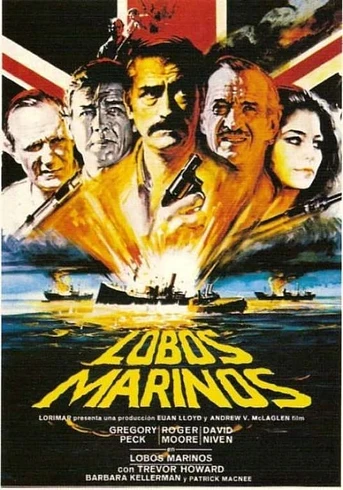 Poster de Lobos Marinos