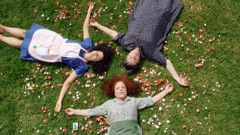 Imagen de Cactus Flower