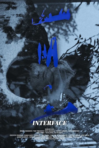 Poster de Interface
