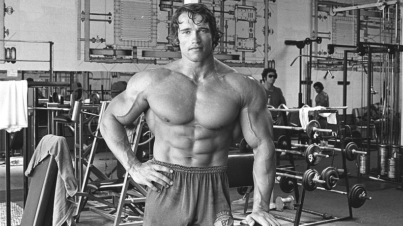 Imagen de Pumping Iron