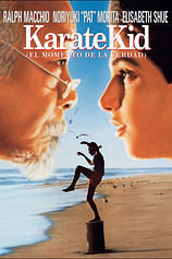 Karate Kid poster