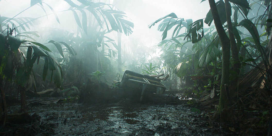 Imagen de Transamazonia