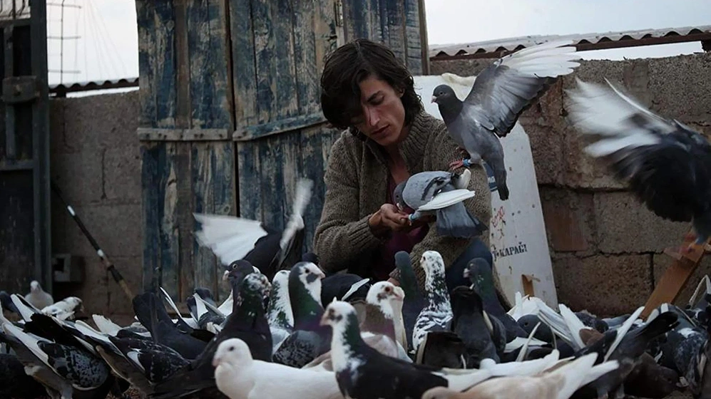 Kemal Burak Alper en the-pigeon