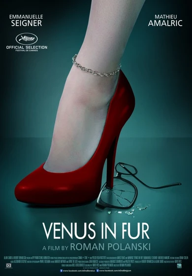 Imagen de la-venus-de-las-pieles (Cartel teaser)