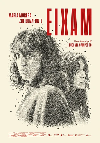 Poster de Swarm