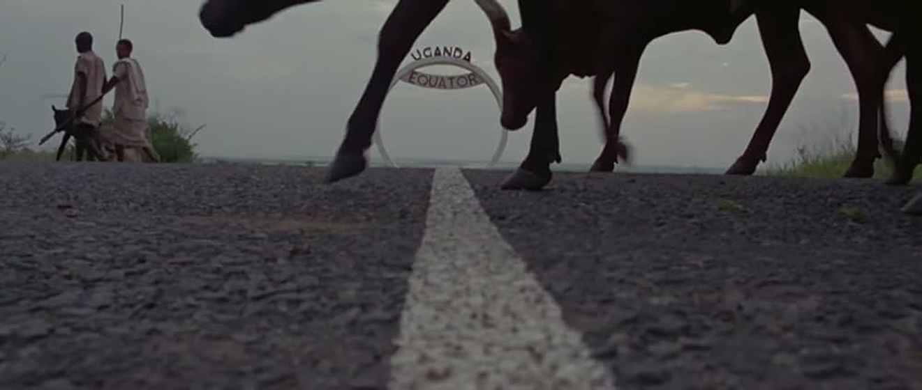 Imagen de Adiós, África
