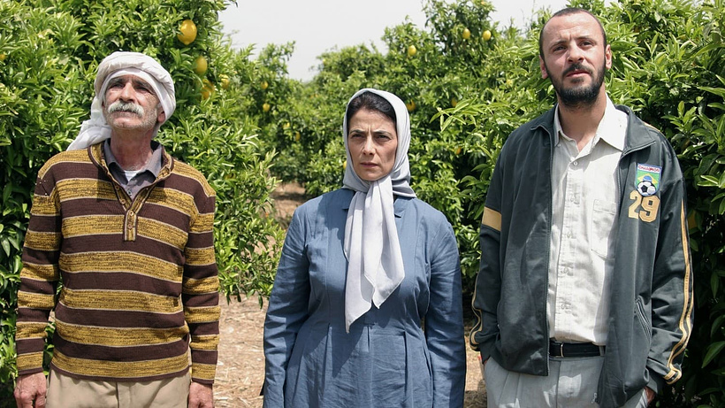 Imagen de Los Limoneros