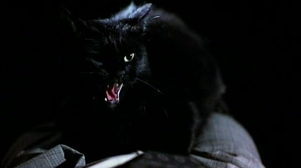 Imagen de El Gato Infernal