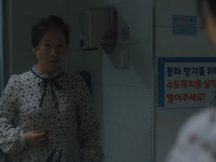Jeong Ae-hwa en The Burglars
